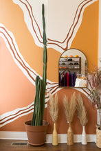 Load image into Gallery viewer, big cactus