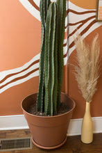 Load image into Gallery viewer, big cactus