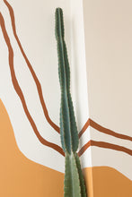Load image into Gallery viewer, big cactus