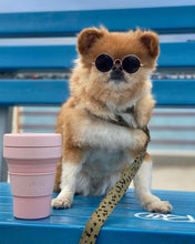 Load image into Gallery viewer, collapsible coffee cup in carnation