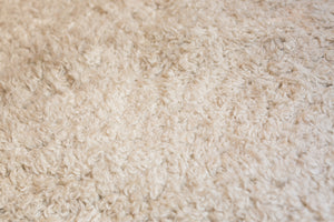 cream shag rug