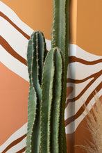 Load image into Gallery viewer, big cactus