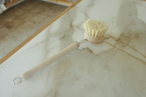 dish brush with handle