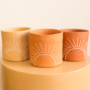 sun planter medium