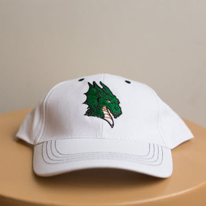 dayton dragons hat #2