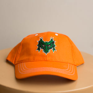 dayton dragons hat #3