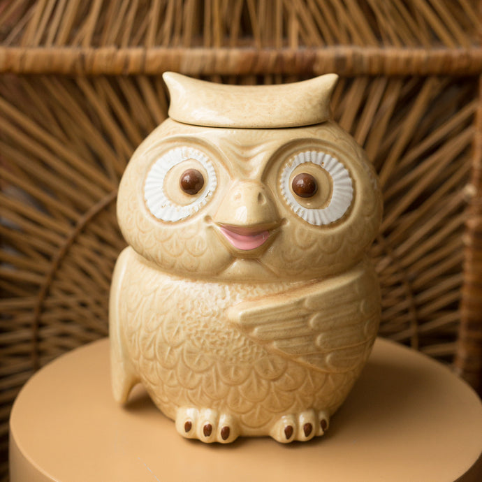 ceramic owl cookie jar
