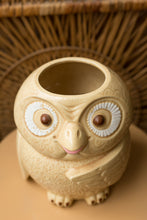 Load image into Gallery viewer, ceramic owl cookie jar