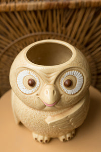 ceramic owl cookie jar